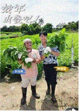 一起露营吧 户外综艺海报